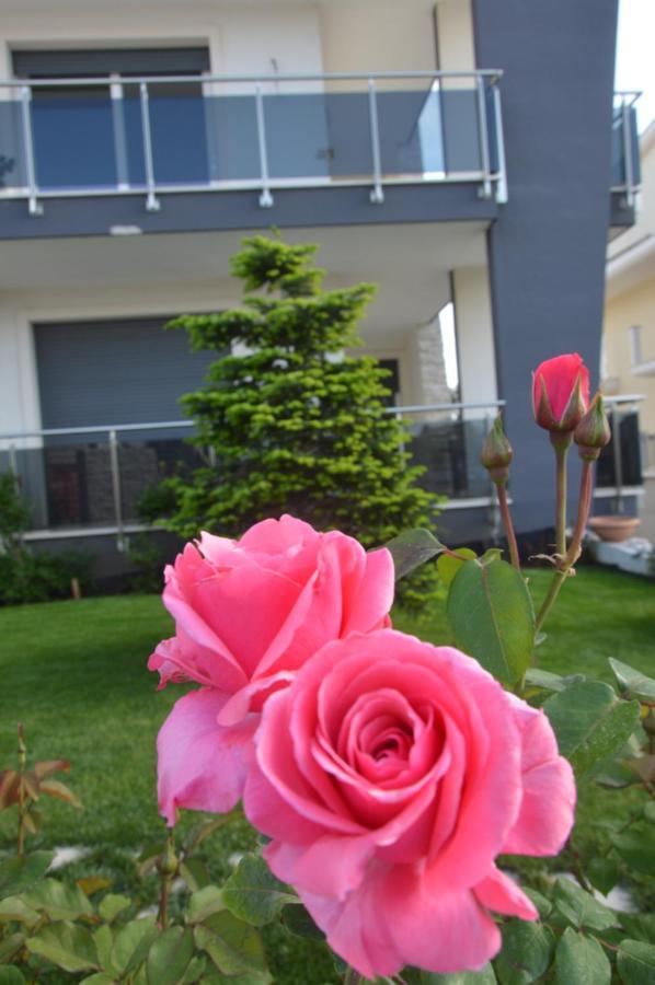 La Rosa Dei Venti 3* Altamura