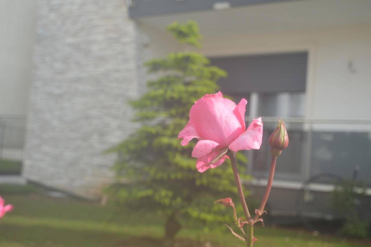 La Rosa Dei Venti Frühstückspension 3*